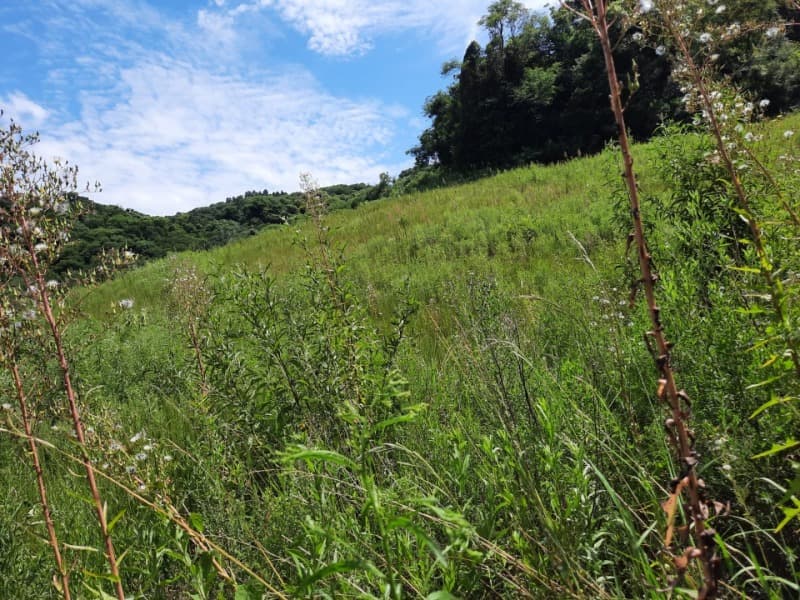 Foto 2 de 31: Terreno em leilão em Tunas - RS — LOTE 001 Imóvel
