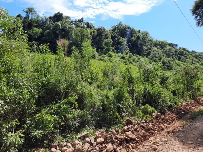 Foto 9 de 31: Terreno em leilão em Tunas - RS — LOTE 001 Imóvel