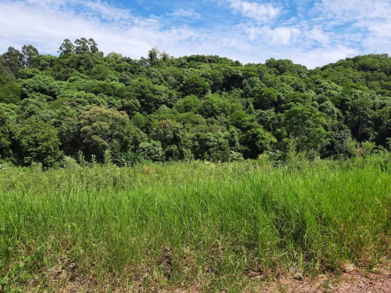 Foto 11 de 31: Terreno em leilão em Tunas - RS — LOTE 001 Imóvel