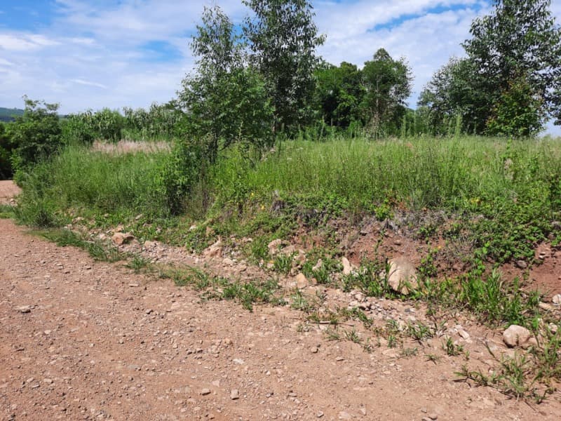 Foto 12 de 31: Terreno em leilão em Tunas - RS — LOTE 001 Imóvel
