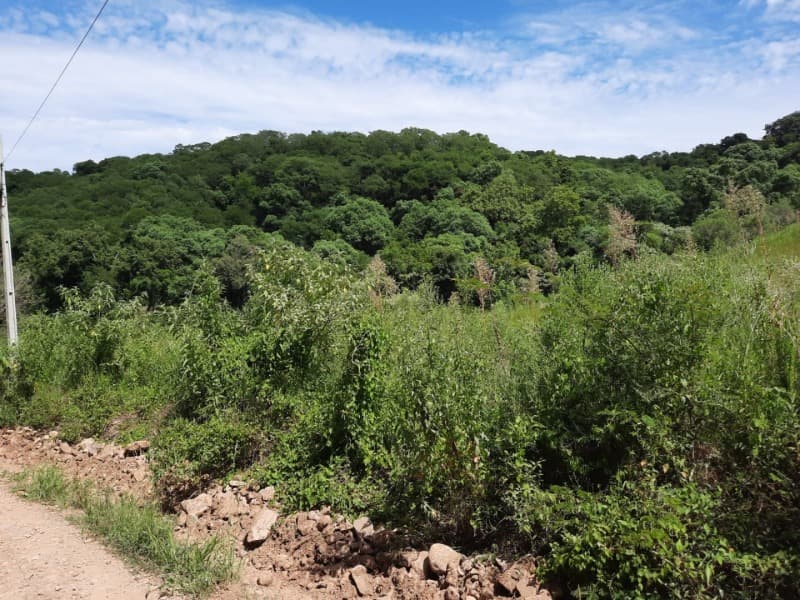 Foto 14 de 31: Terreno em leilão em Tunas - RS — LOTE 001 Imóvel