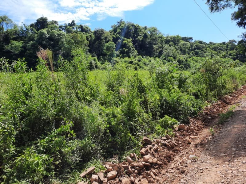 Foto 15 de 31: Terreno em leilão em Tunas - RS — LOTE 001 Imóvel