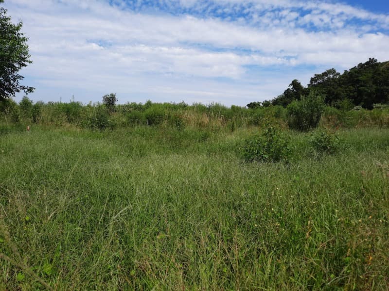 Foto 1 de 31: Terreno em leilão em Tunas - RS — LOTE 001 Imóvel