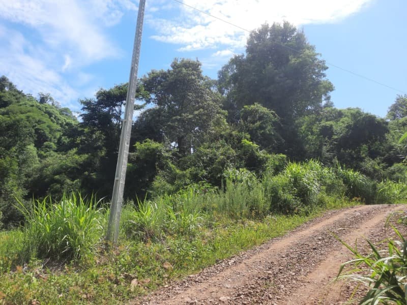Foto 18 de 31: Terreno em leilão em Tunas - RS — LOTE 001 Imóvel