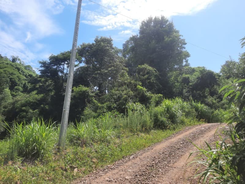 Foto 21 de 31: Terreno em leilão em Tunas - RS — LOTE 001 Imóvel