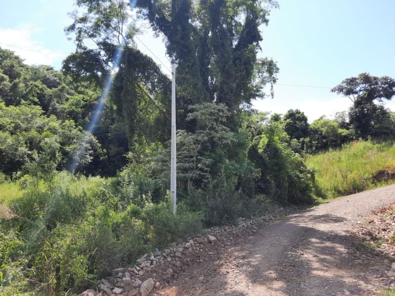 Foto 22 de 31: Terreno em leilão em Tunas - RS — LOTE 001 Imóvel