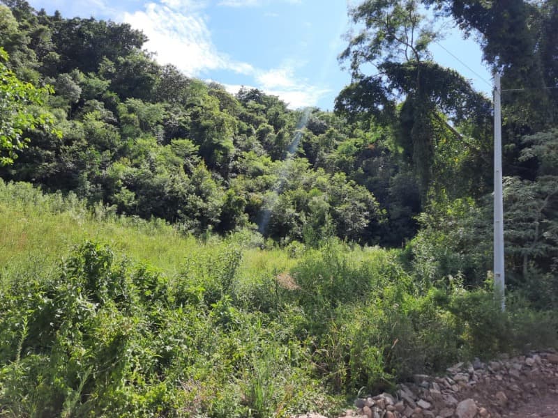 Foto 23 de 31: Terreno em leilão em Tunas - RS — LOTE 001 Imóvel