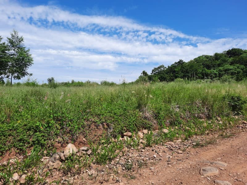Foto 24 de 31: Terreno em leilão em Tunas - RS — LOTE 001 Imóvel