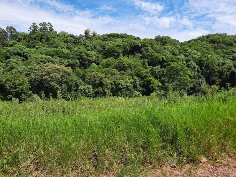 Foto 25 de 31: Terreno em leilão em Tunas - RS — LOTE 001 Imóvel