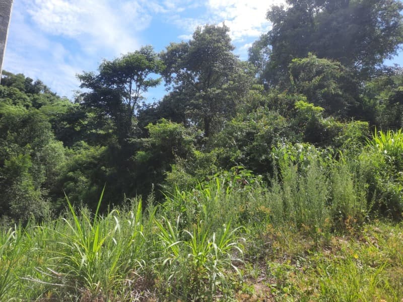 Foto 27 de 31: Terreno em leilão em Tunas - RS — LOTE 001 Imóvel