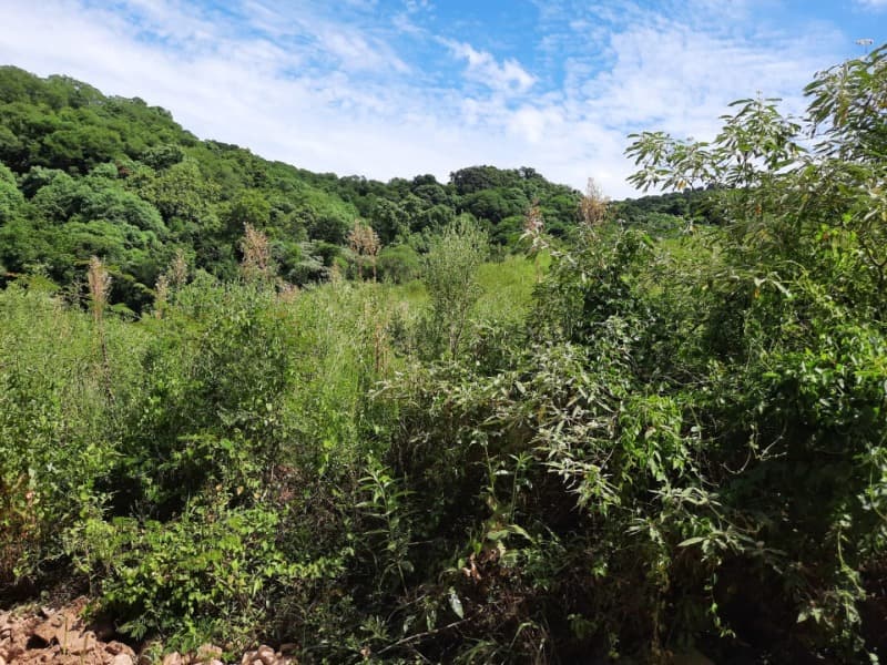 Foto 29 de 31: Terreno em leilão em Tunas - RS — LOTE 001 Imóvel