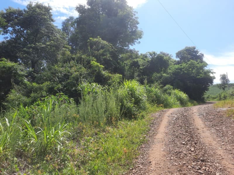 Foto 30 de 31: Terreno em leilão em Tunas - RS — LOTE 001 Imóvel