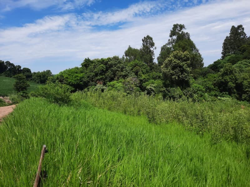 Foto 31 de 31: Terreno em leilão em Tunas - RS — LOTE 001 Imóvel