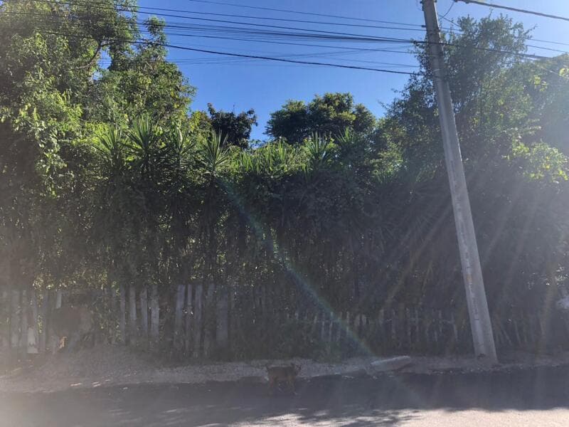 Foto 7 de 9: Terreno em leilão em Passo Fundo - RS, bairro Vila Luiza — LOTE 005 imóvel