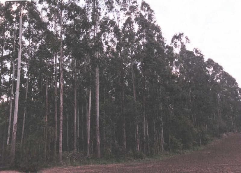Foto 1 de 3: Terreno em leilão em Agronômica - SC — LOTE 001 Imóvel