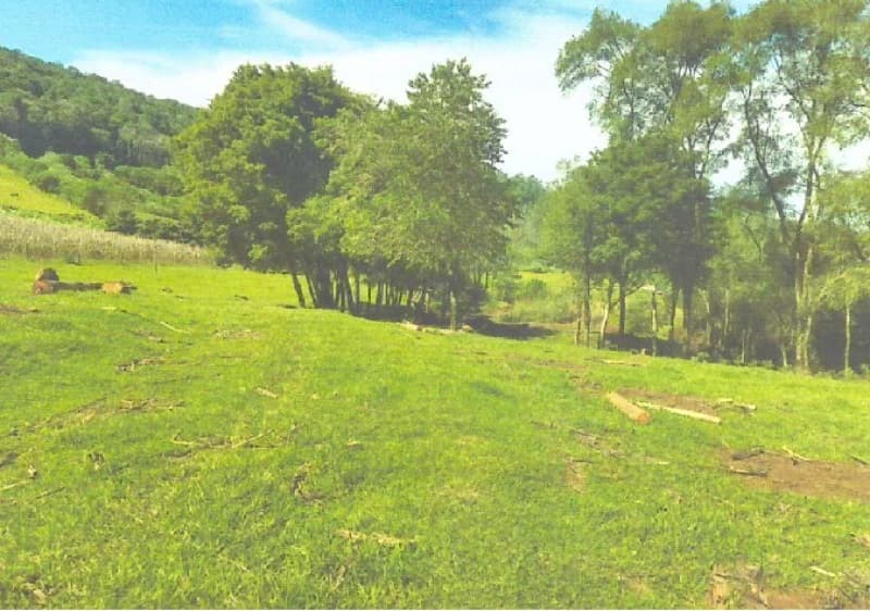 Foto 2 de 8: Terreno em leilão em Itatiba Do Sul - RS — LOTE 001 Imovel
