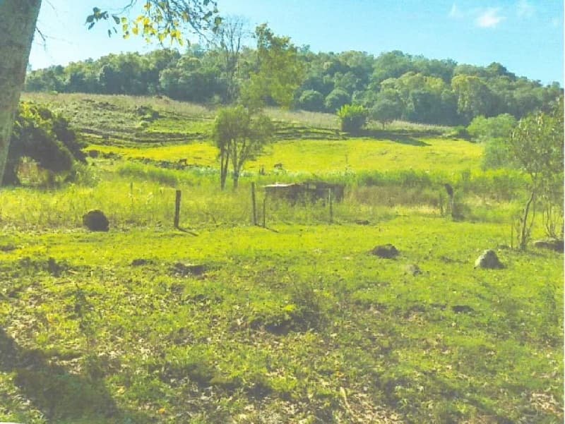Foto 3 de 8: Terreno em leilão em Itatiba Do Sul - RS — LOTE 001 Imovel