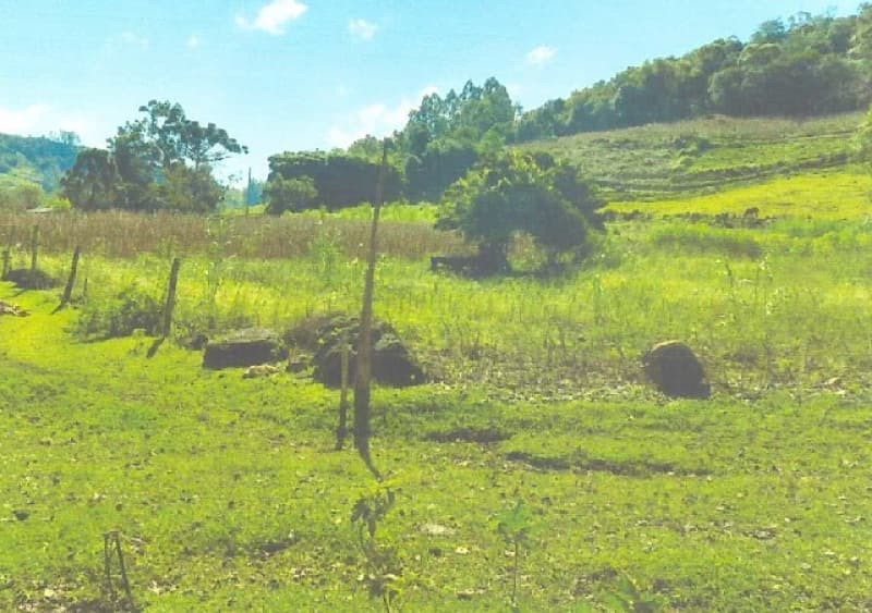 Foto 4 de 8: Terreno em leilão em Itatiba Do Sul - RS — LOTE 001 Imovel