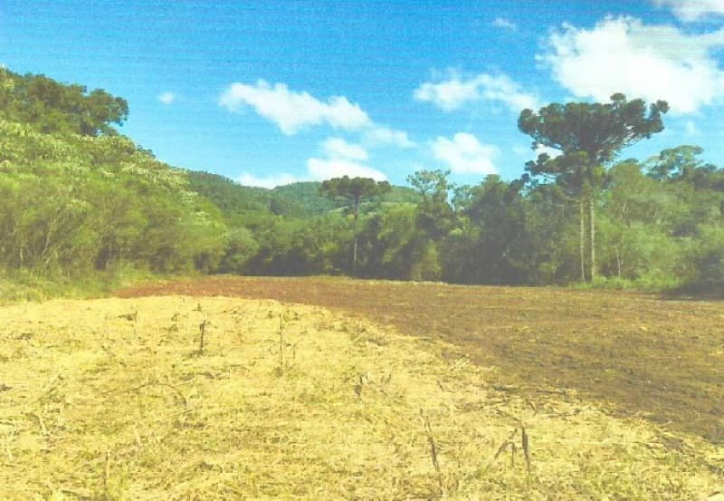 Foto 6 de 8: Terreno em leilão em Itatiba Do Sul - RS — LOTE 001 Imovel