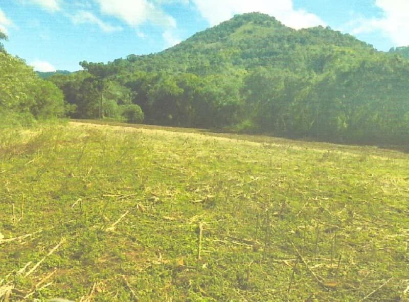 Foto 7 de 8: Terreno em leilão em Itatiba Do Sul - RS — LOTE 001 Imovel