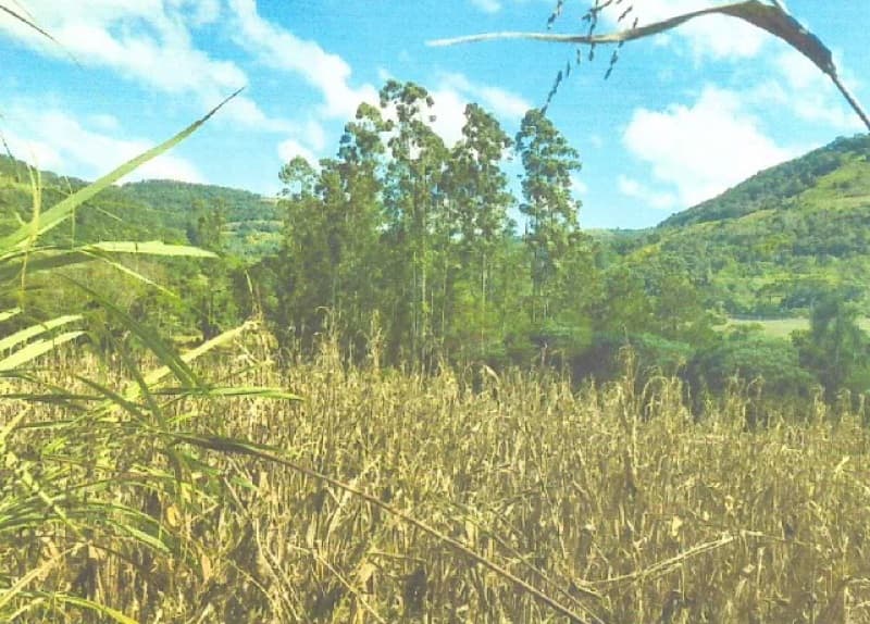 Foto 8 de 8: Terreno em leilão em Itatiba Do Sul - RS — LOTE 001 Imovel