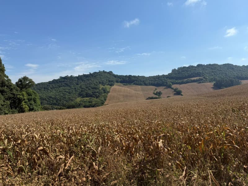 Foto 1 de 12: Terreno em leilão em Serafina Corrêa - RS — LOTE 001 Imóvel