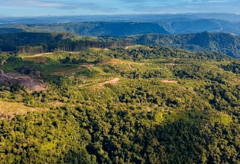 Foto 2 de 6: Terreno em leilão em Agrolândia - SC — LOTE 001 Imóvel