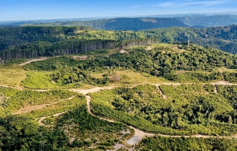 Foto 1 de 6: Terreno em leilão em Agrolândia - SC — LOTE 001 Imóvel