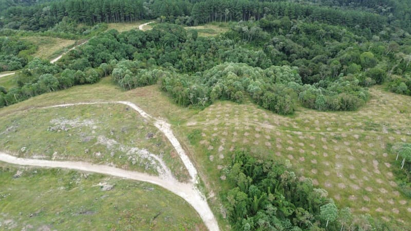 Foto 11 de 52: Terreno em leilão em Agrolândia - SC — LOTE 001 Imóvel