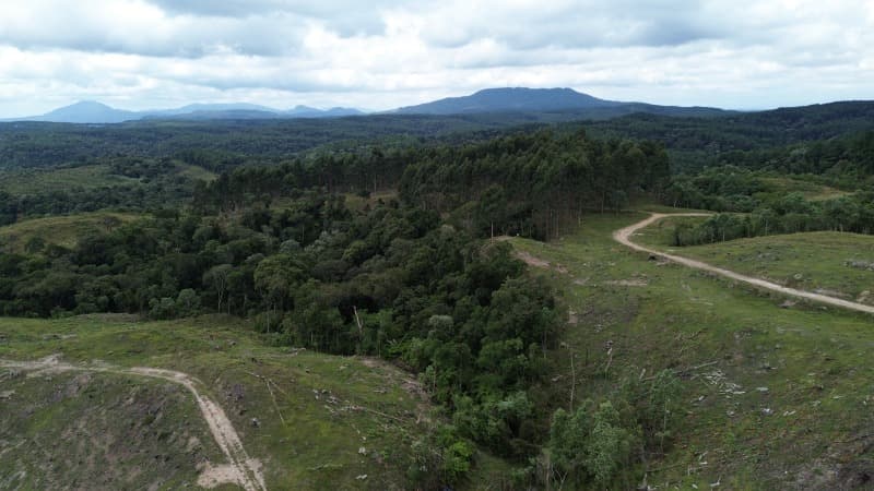 Foto 12 de 52: Terreno em leilão em Agrolândia - SC — LOTE 001 Imóvel