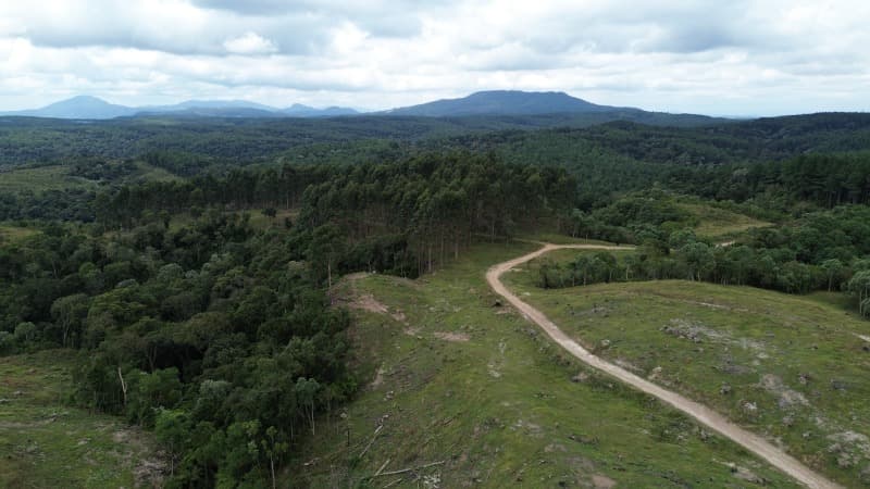 Foto 16 de 52: Terreno em leilão em Agrolândia - SC — LOTE 001 Imóvel