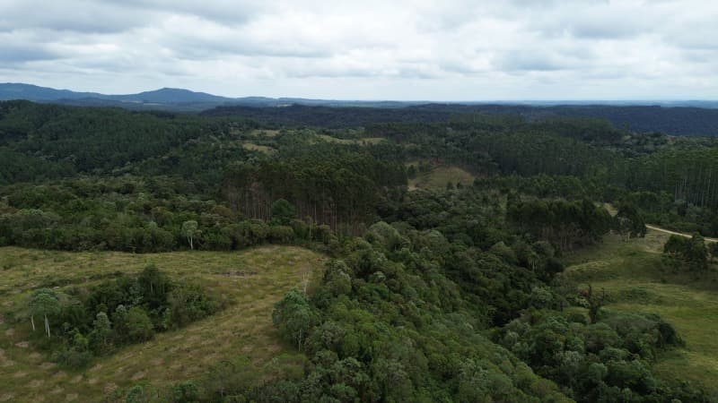 Foto 32 de 52: Terreno em leilão em Agrolândia - SC — LOTE 001 Imóvel