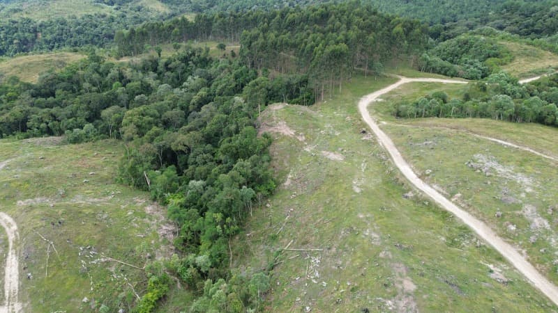 Foto 45 de 52: Terreno em leilão em Agrolândia - SC — LOTE 001 Imóvel