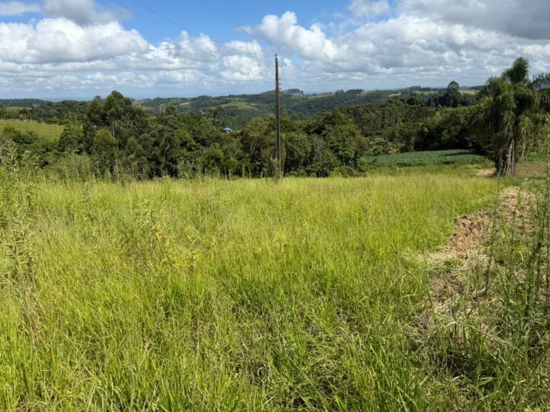 Foto 1 de 24: Terreno em leilão em Laurentino - SC — LOTE 001 Imovel