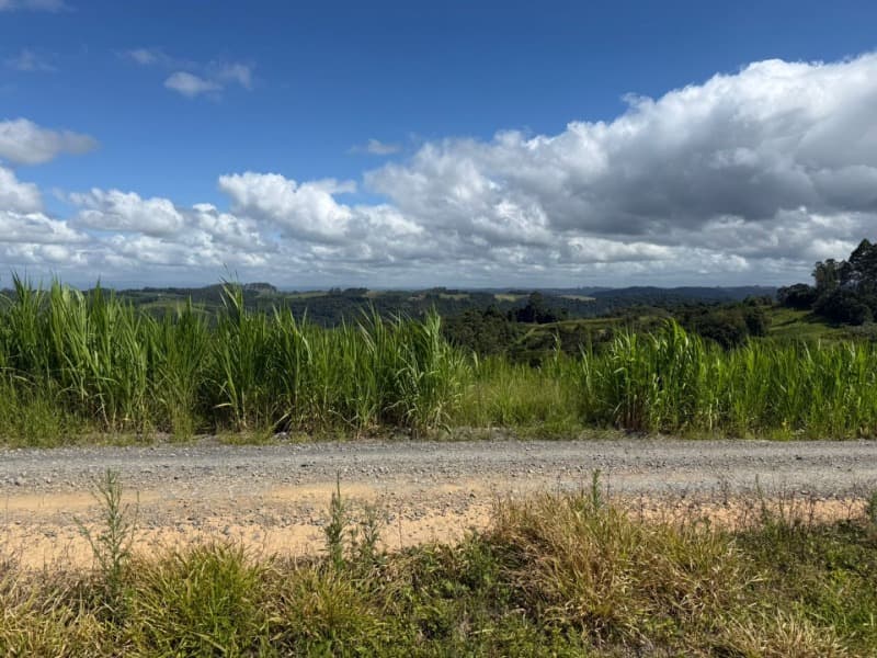 Foto 5 de 24: Terreno em leilão em Laurentino - SC — LOTE 001 Imovel