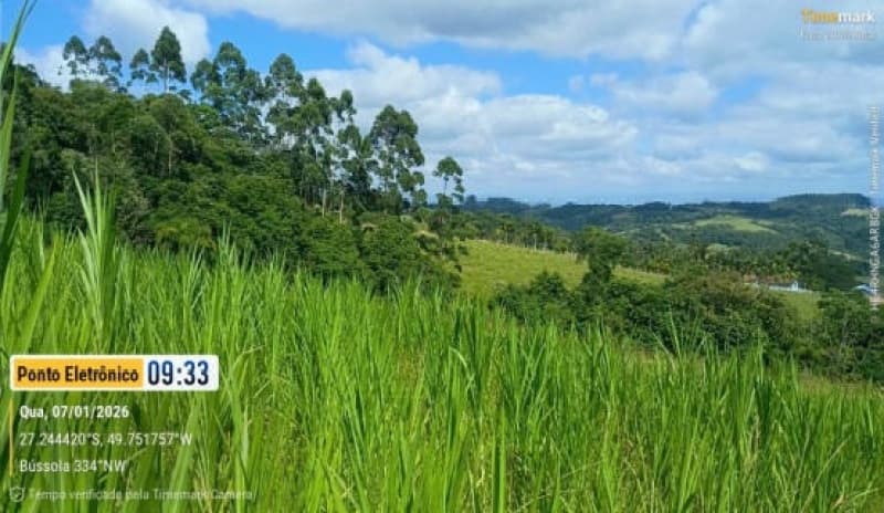 Foto 7 de 24: Terreno em leilão em Laurentino - SC — LOTE 001 Imovel