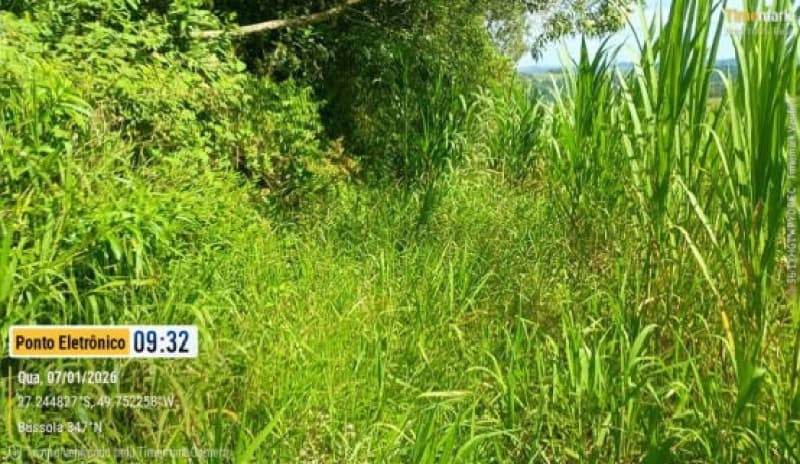 Foto 10 de 24: Terreno em leilão em Laurentino - SC — LOTE 001 Imovel