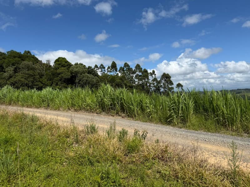 Foto 14 de 24: Terreno em leilão em Laurentino - SC — LOTE 001 Imovel