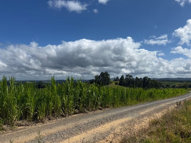 Foto 15 de 24: Terreno em leilão em Laurentino - SC — LOTE 001 Imovel