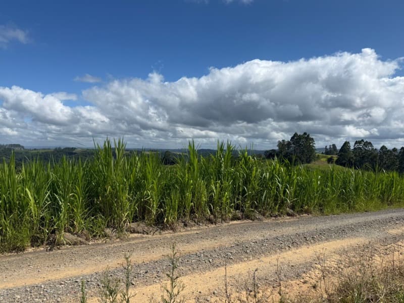 Foto 17 de 24: Terreno em leilão em Laurentino - SC — LOTE 001 Imovel