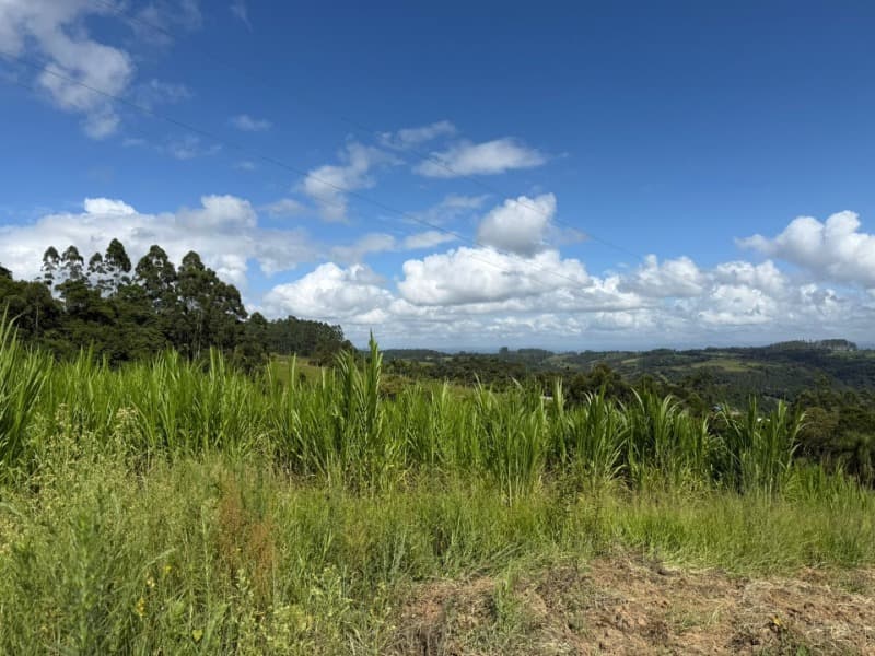 Foto 18 de 24: Terreno em leilão em Laurentino - SC — LOTE 001 Imovel