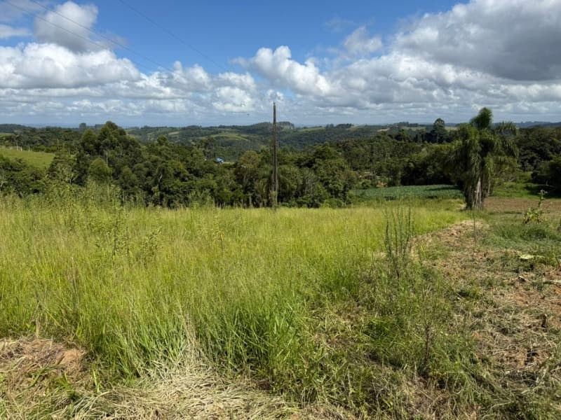 Foto 21 de 24: Terreno em leilão em Laurentino - SC — LOTE 001 Imovel