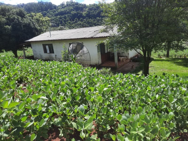Foto 2 de 35: Terreno em leilão em Severiano De Almeida - RS — LOTE 001 Imovel