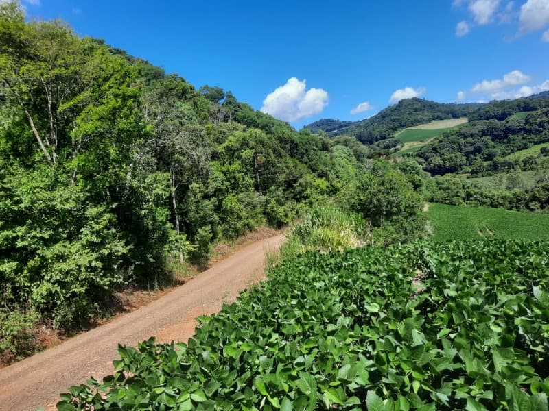 Foto 25 de 35: Terreno em leilão em Severiano De Almeida - RS — LOTE 001 Imovel