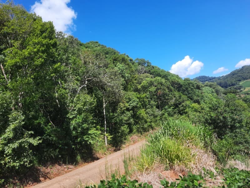 Foto 30 de 35: Terreno em leilão em Severiano De Almeida - RS — LOTE 001 Imovel