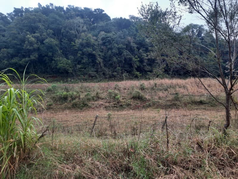 Foto 1 de 20: Terreno em leilão em Erechim - RS — LOTE 002 Imóvel