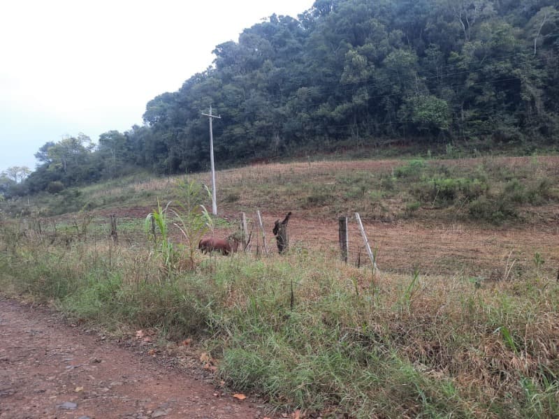 Foto 2 de 20: Terreno em leilão em Erechim - RS — LOTE 002 Imóvel