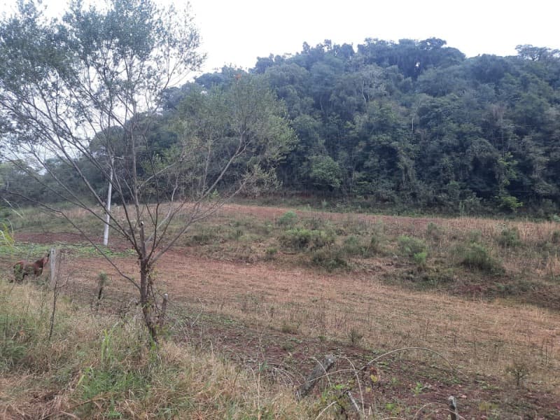 Foto 3 de 20: Terreno em leilão em Erechim - RS — LOTE 002 Imóvel