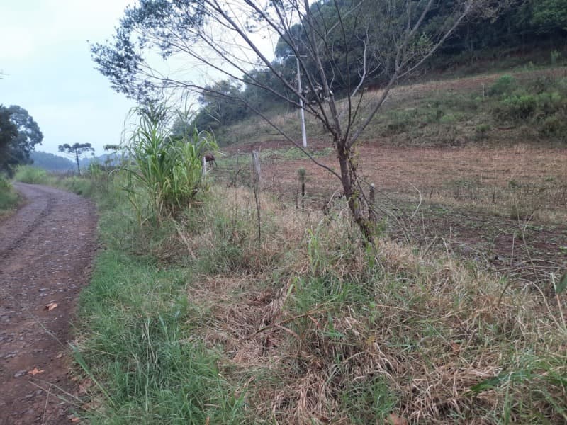 Foto 4 de 20: Terreno em leilão em Erechim - RS — LOTE 002 Imóvel