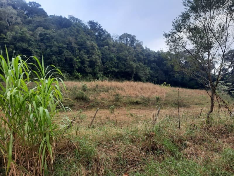 Foto 5 de 20: Terreno em leilão em Erechim - RS — LOTE 002 Imóvel